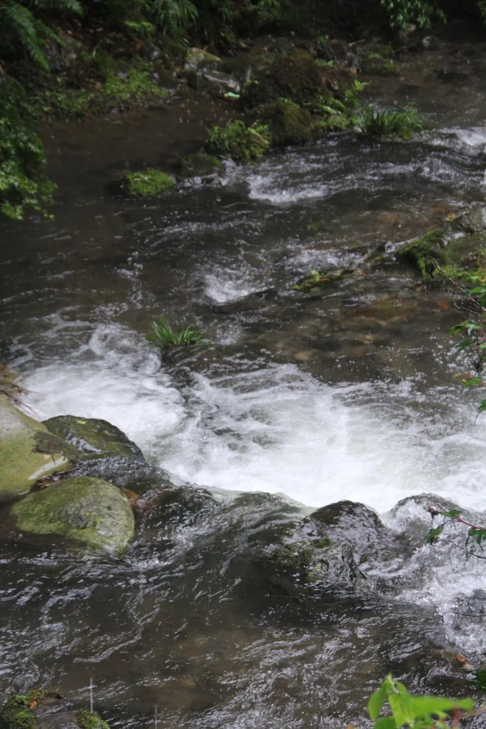 A mountain river running over rocks